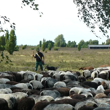Casa vacanze In Der Lueneburger Heide