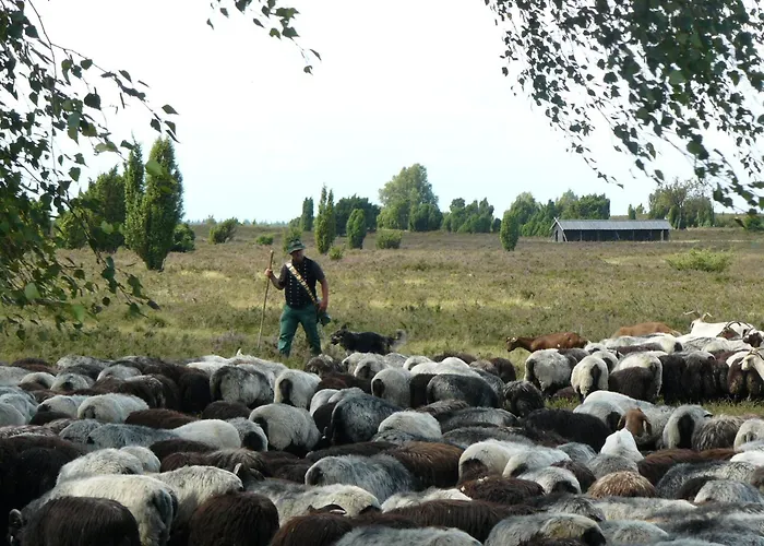 Prázdninový dům In Der Lueneburger Heide